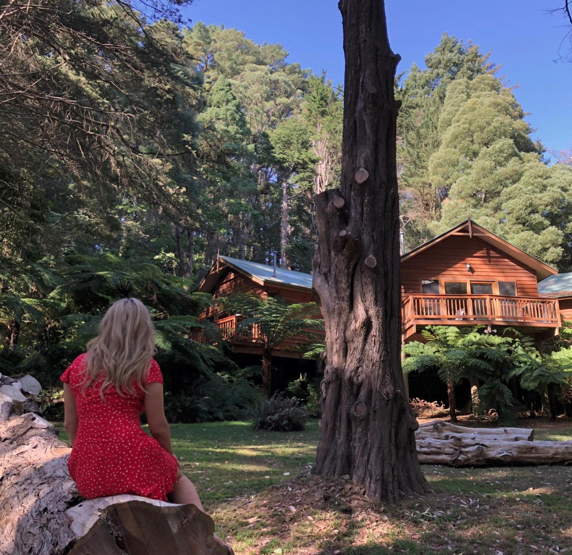 Chudleigh Park Cottages Sassafras Eksteriør bilde